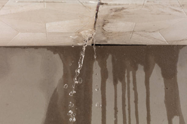 Professional Sewage Cleanup technician working in Taylorsville, KY